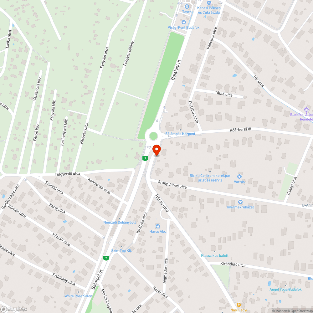 Burjánzó gaz a buszmegálló körül bejelentés helye