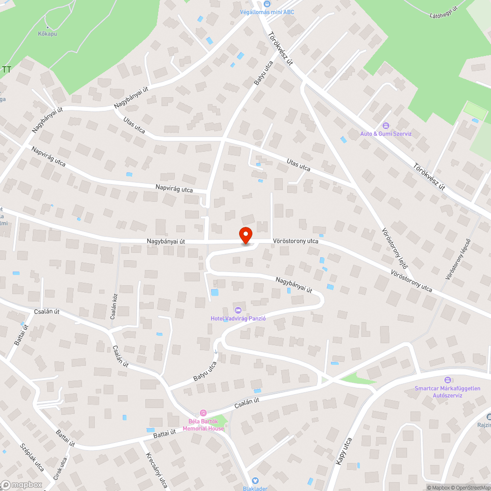 Növénnyel benőtt lámpa bejelentés helye