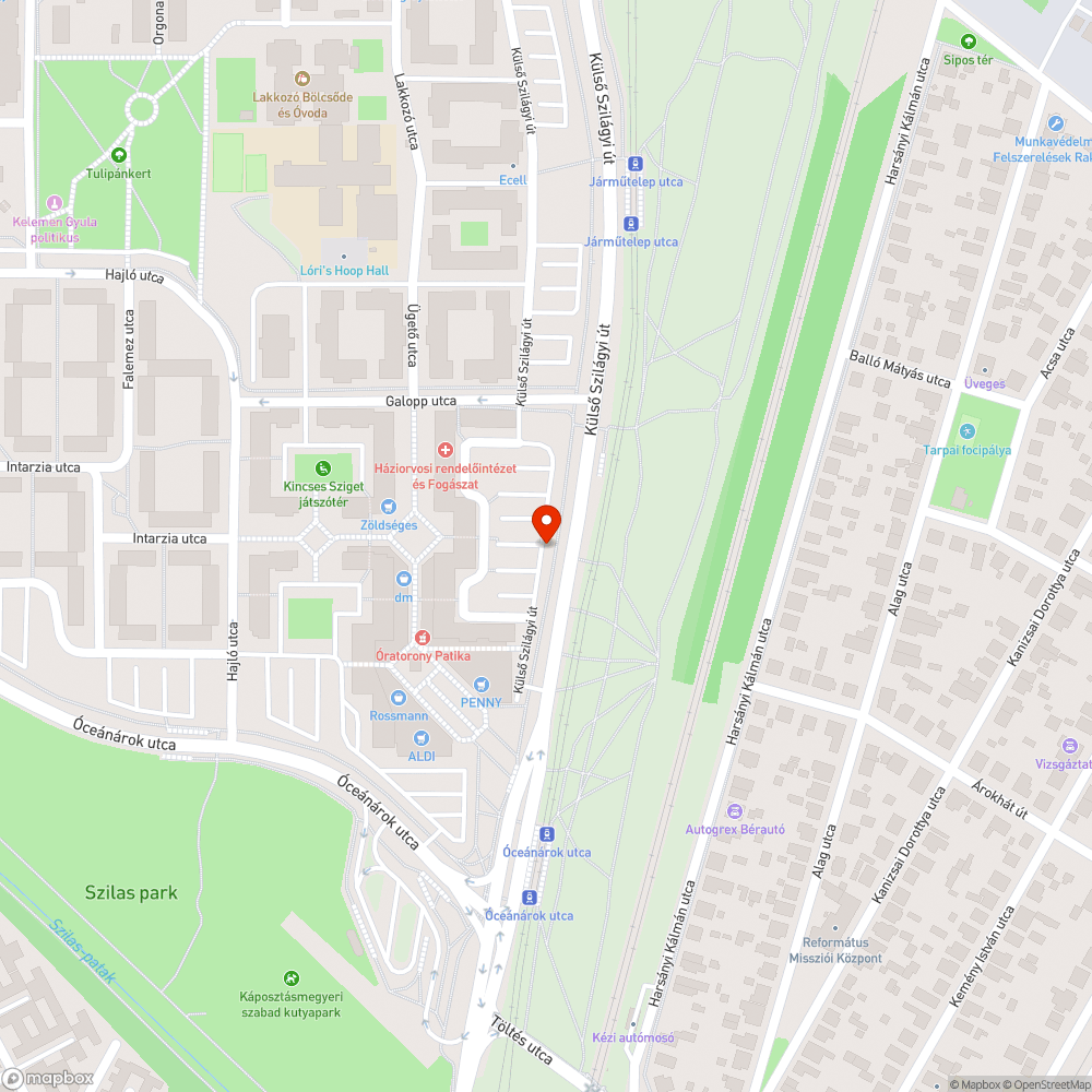 Kiszáradt ágak a fákon bejelentés helye