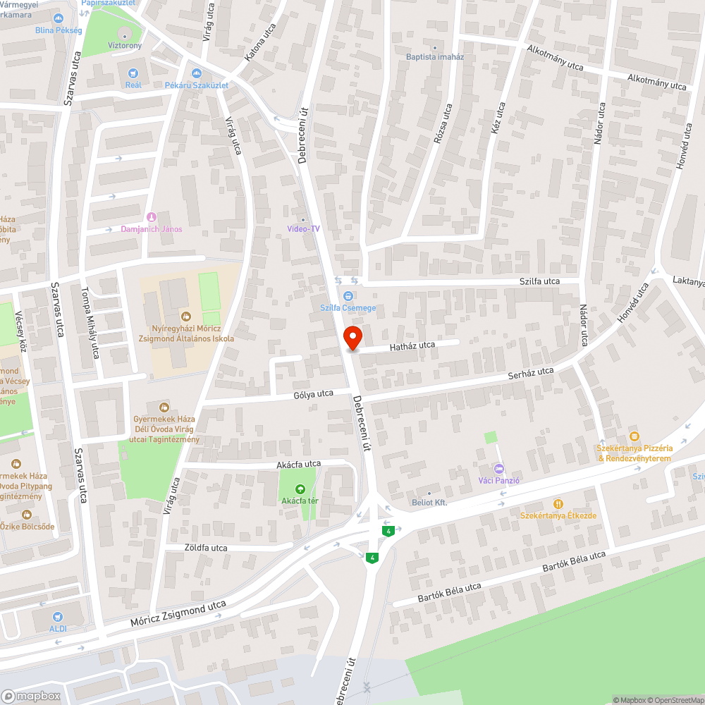 Leaszfaltozott zöldfelület bejelentés helye