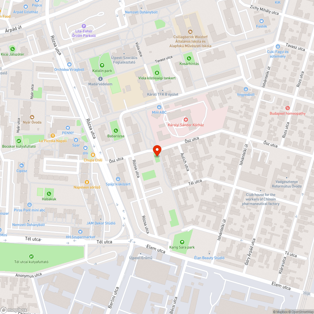 Ősz utcai kutyafuttatóban szemét bejelentés helye