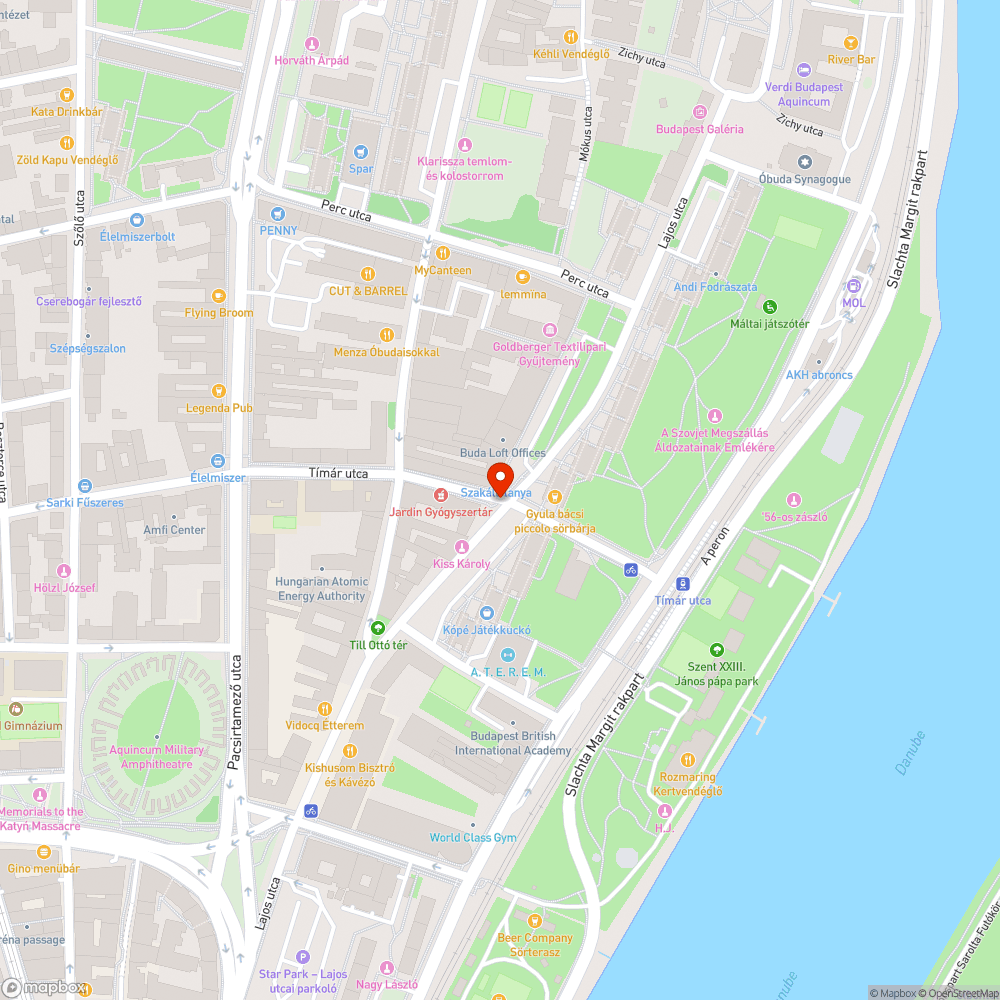 Járdára rálógó ágak a Lajos-Tímár utca sarkán bejelentés helye