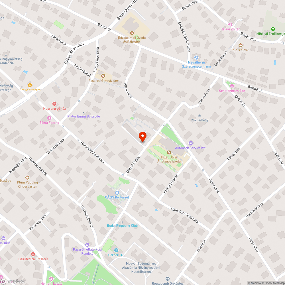 Elhullott macska tetem bejelentés helye