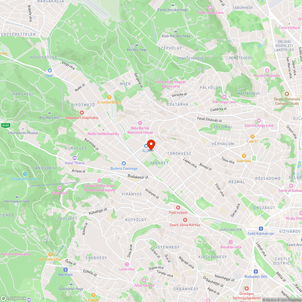 Kátyúk a II. kerületi Riadó utcában bejelentés helye