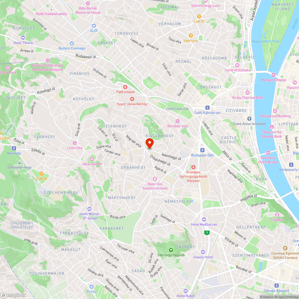 Mindennap lemaradó utasok/túlzsúfolt 21/21A buszok bejelentés helye