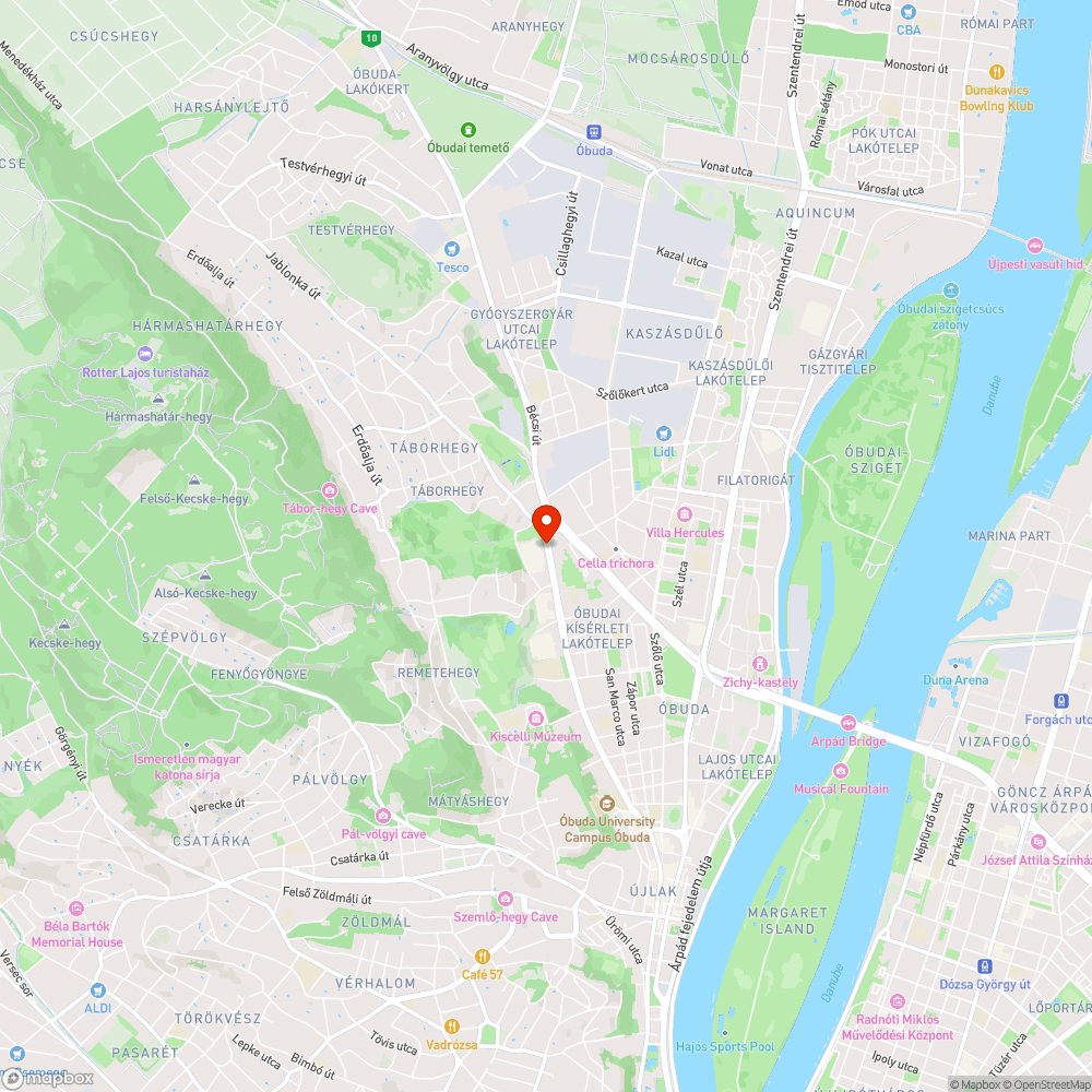 III. EUROCENTER lépcsője mellett (Bécsi út) kiszáradt fa bejelentés helye