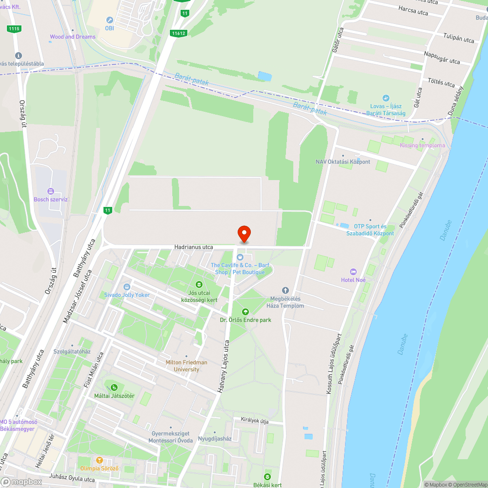 Kivágott / kidőlt fa bejelentés helye