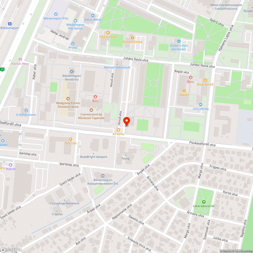 Leszakadt faág bejelentés helye