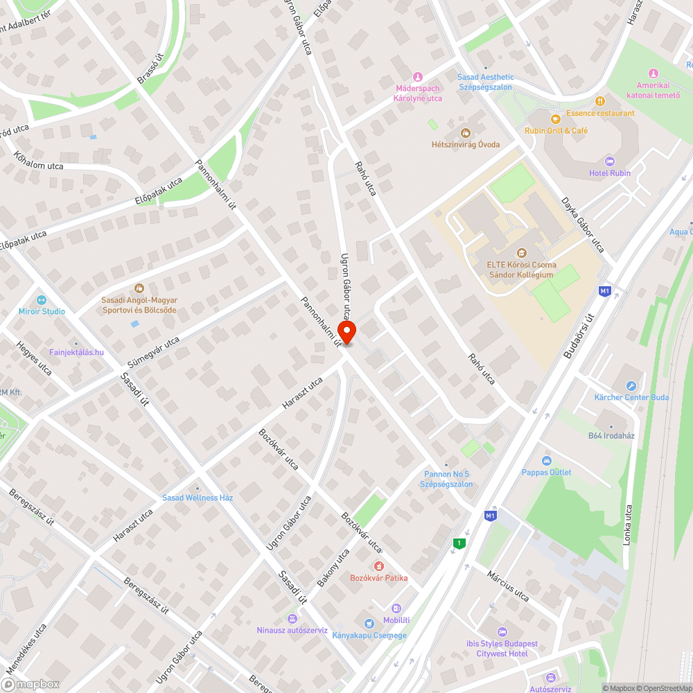 Járdára lógó ágak és szemét bejelentés helye