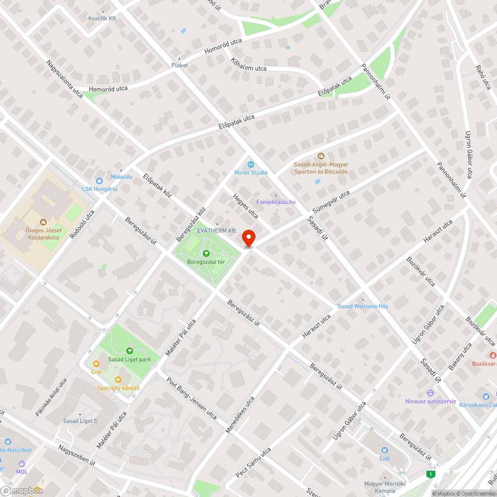 Beregszász tér por, kavics az úttesten bejelentés helye