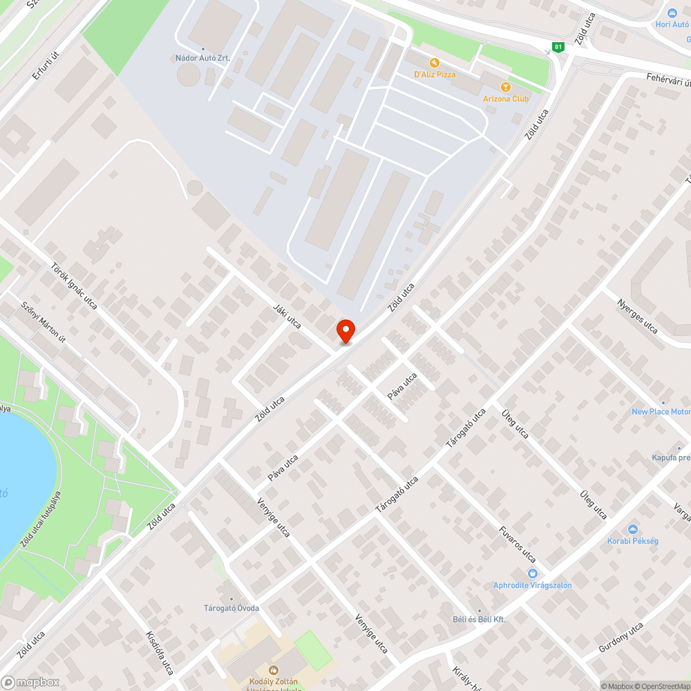 Elpusztult sündisznó fekszik az út szélén bejelentés helye