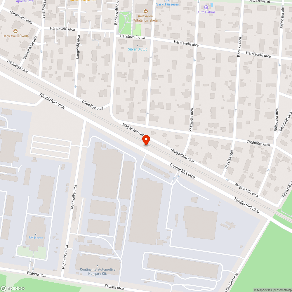 Elgázolt nyuszika bejelentés helye