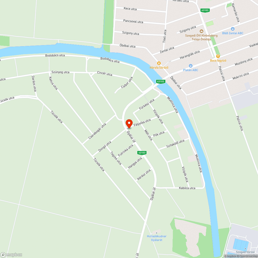 A pad lába a víz hatására elrohadt. bejelentés helye