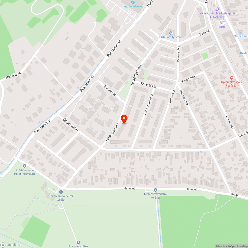 Közvilágitást takaró belógó fák, száraz faágak bejelentés helye