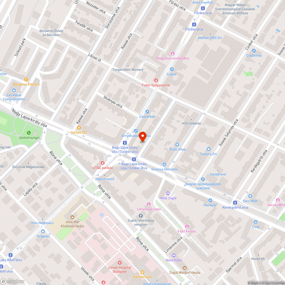 Állandósult szemét az utcában + kezdődő bálványfa invázió bejelentés helye