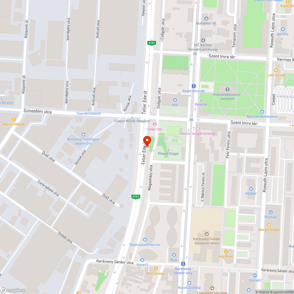 A Teller Ede úti járda mind két oldala elhanyagolt, gazos, járhatatlan. bejelentés helye