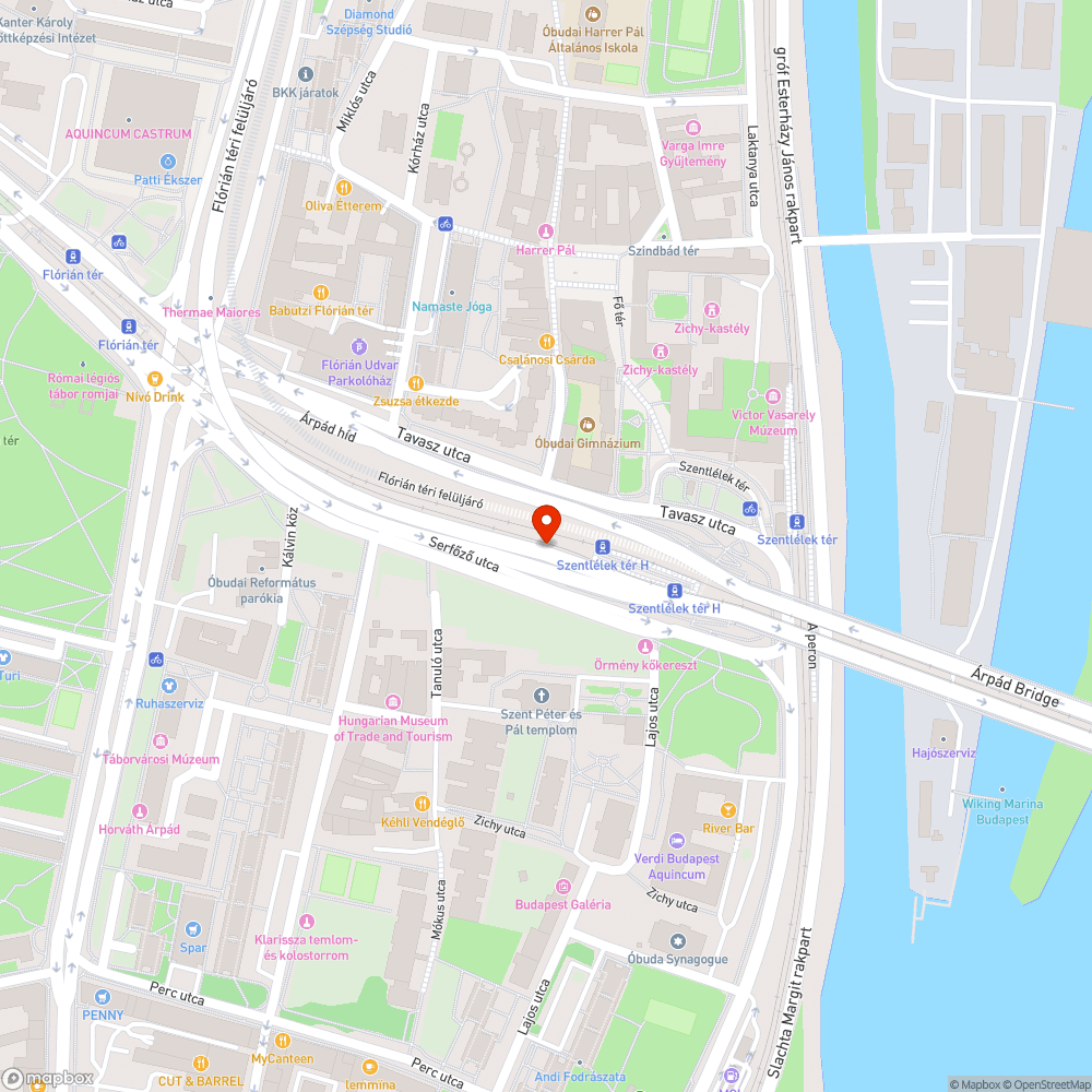 Borzasztó állapotú út bejelentés helye