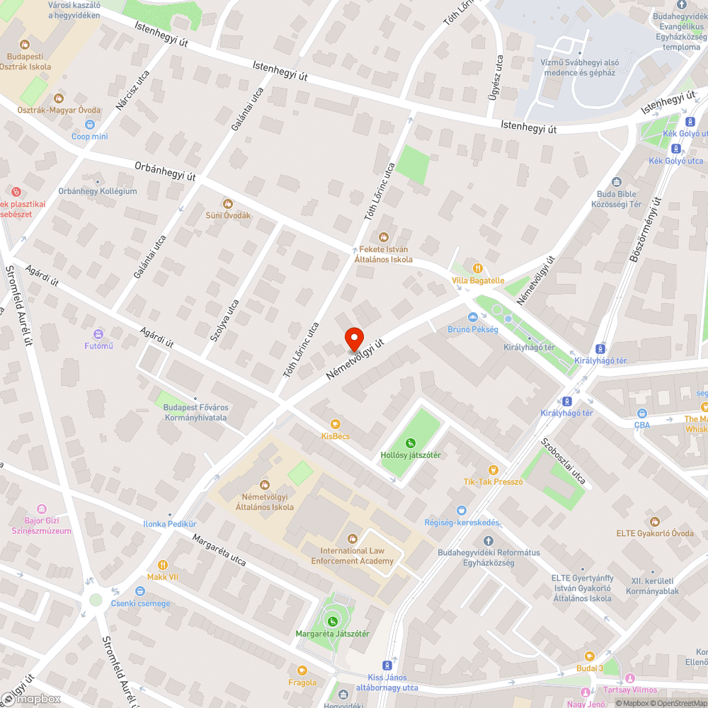 Kutyapiszok a járda közepén bejelentés helye