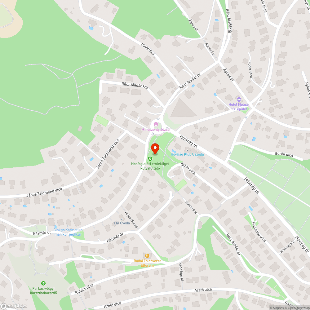 Félig leszakadt hinta bejelentés helye