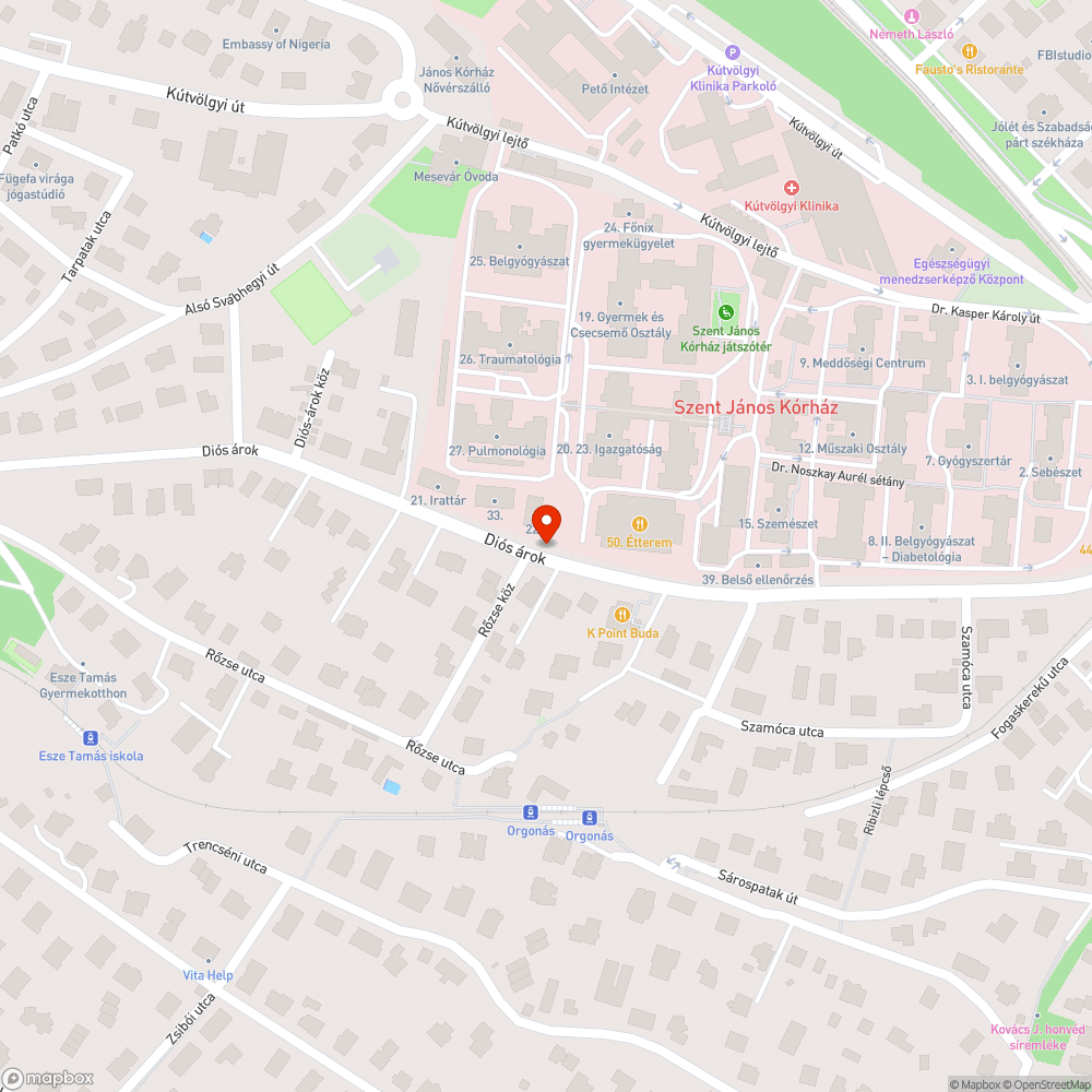 Letört faág - hetek óta itt hever bejelentés helye