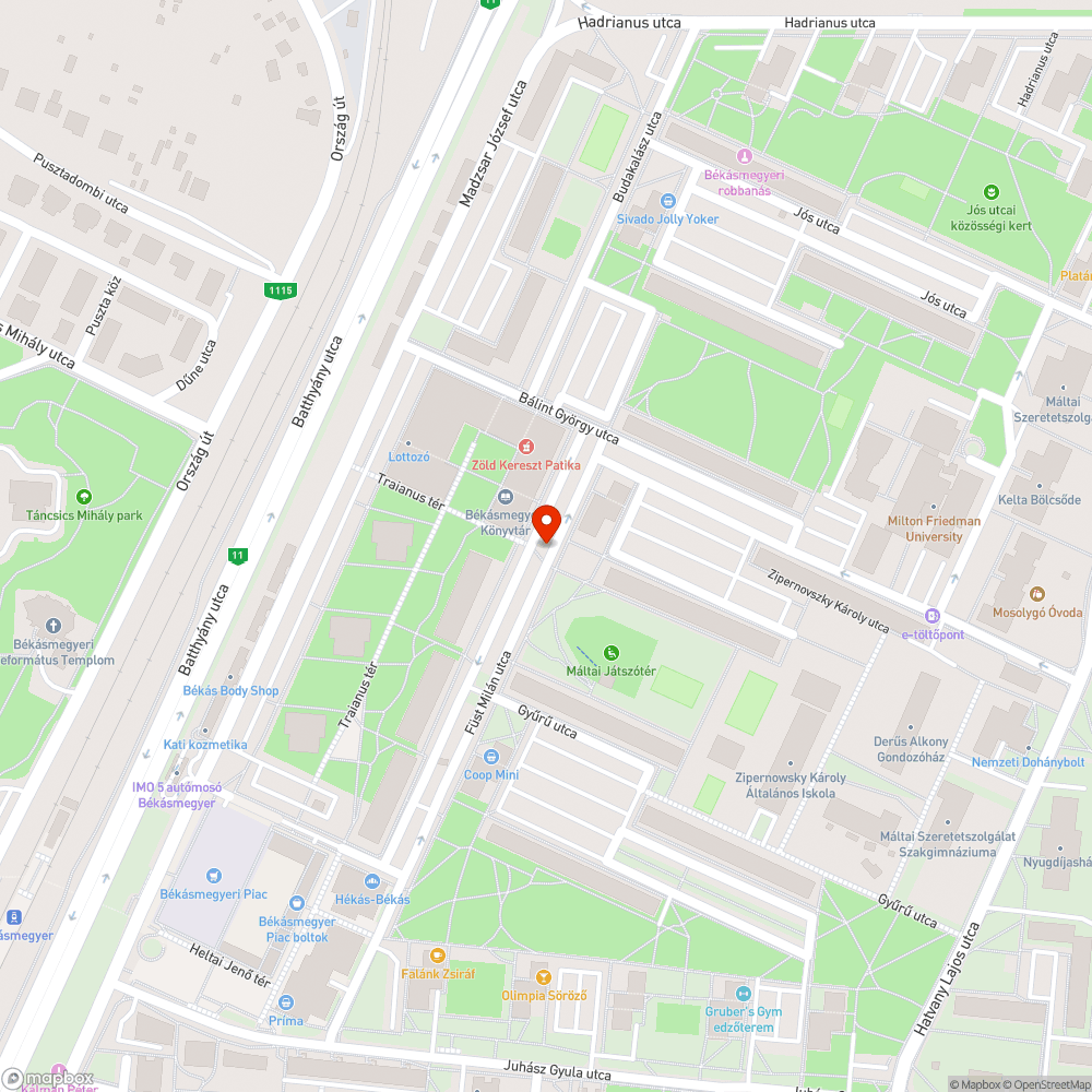 Gyanús jármű - Külföldi rendszámos bejelentés helye