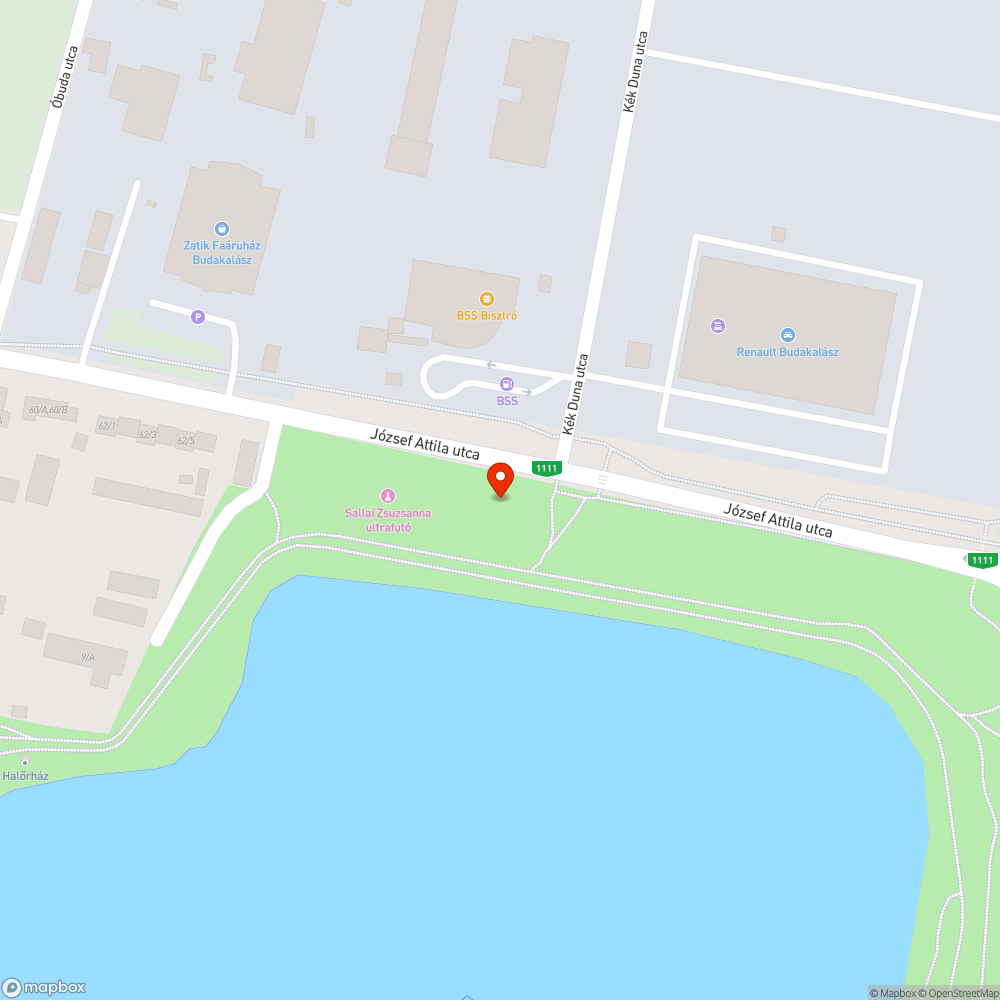 Halott fa bejelentés helye