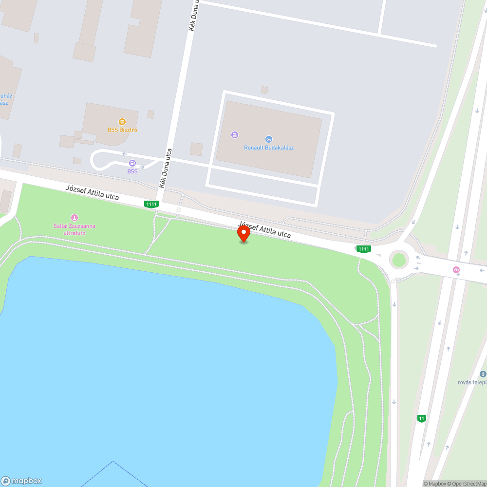 Viharban megsérült halott fa bejelentés helye