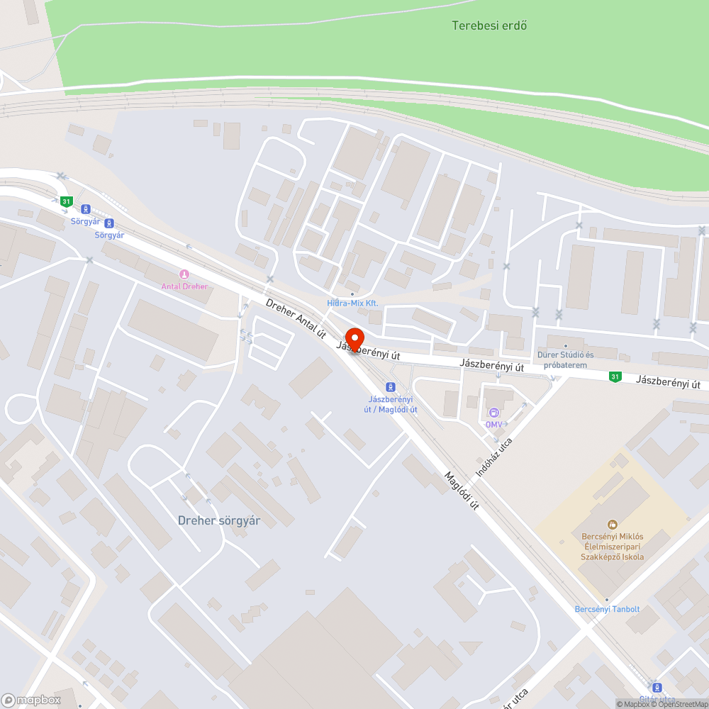 Egy nagyon elkopott zebra a villamossíneken bejelentés helye