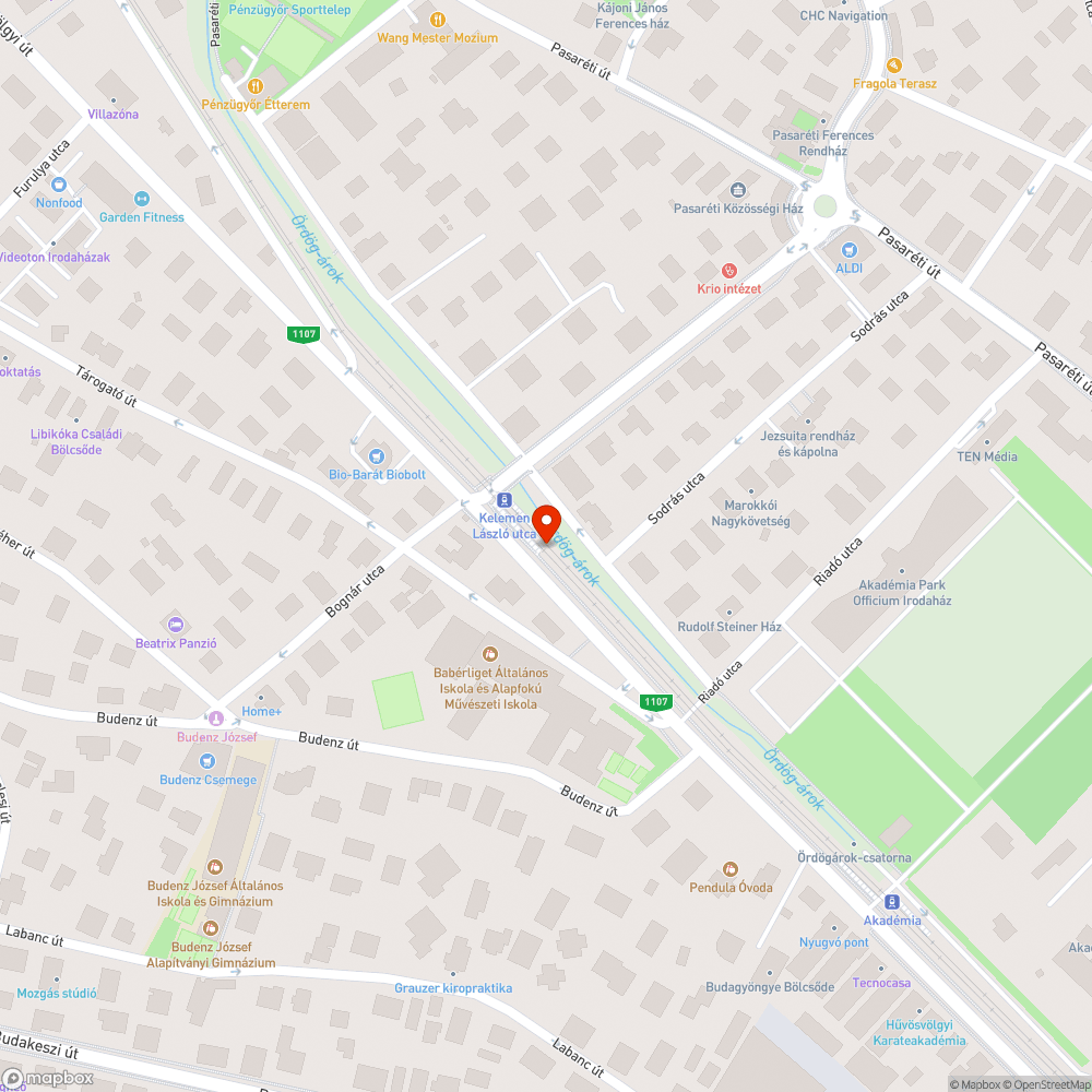 Kivágott fák bejelentés helye