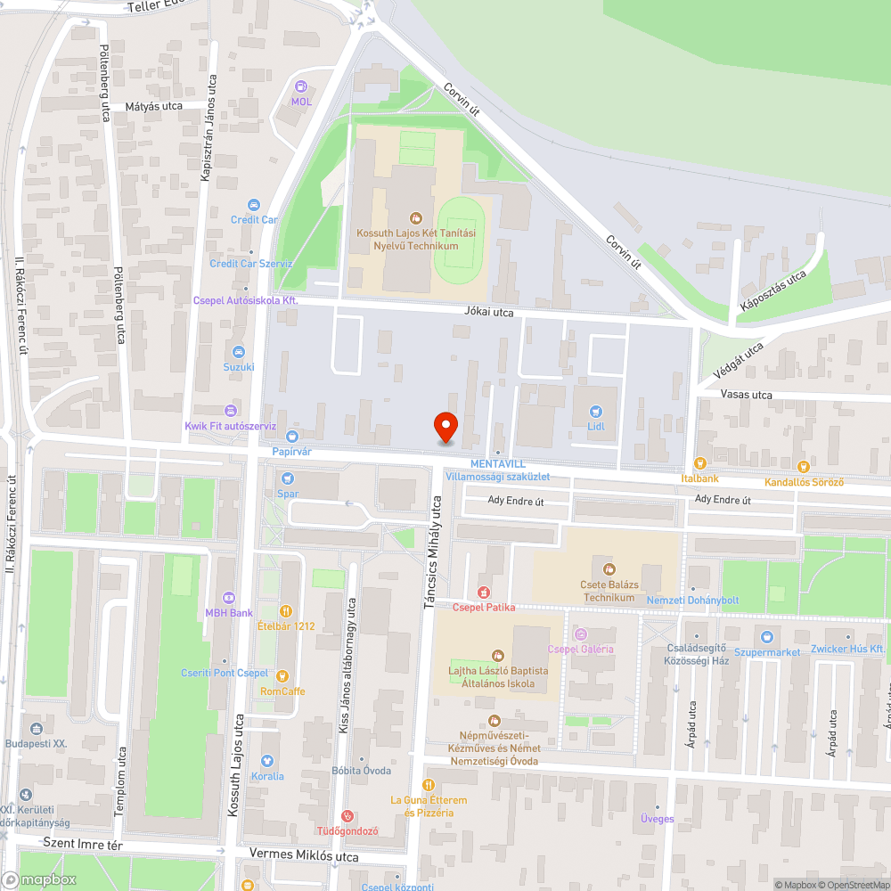 Járdán terebélyes bokor, körülötte szemét, üvegek bejelentés helye