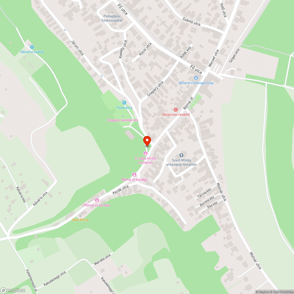 Egy ideje nyitva a kastélydombra vezető út bejelentés helye