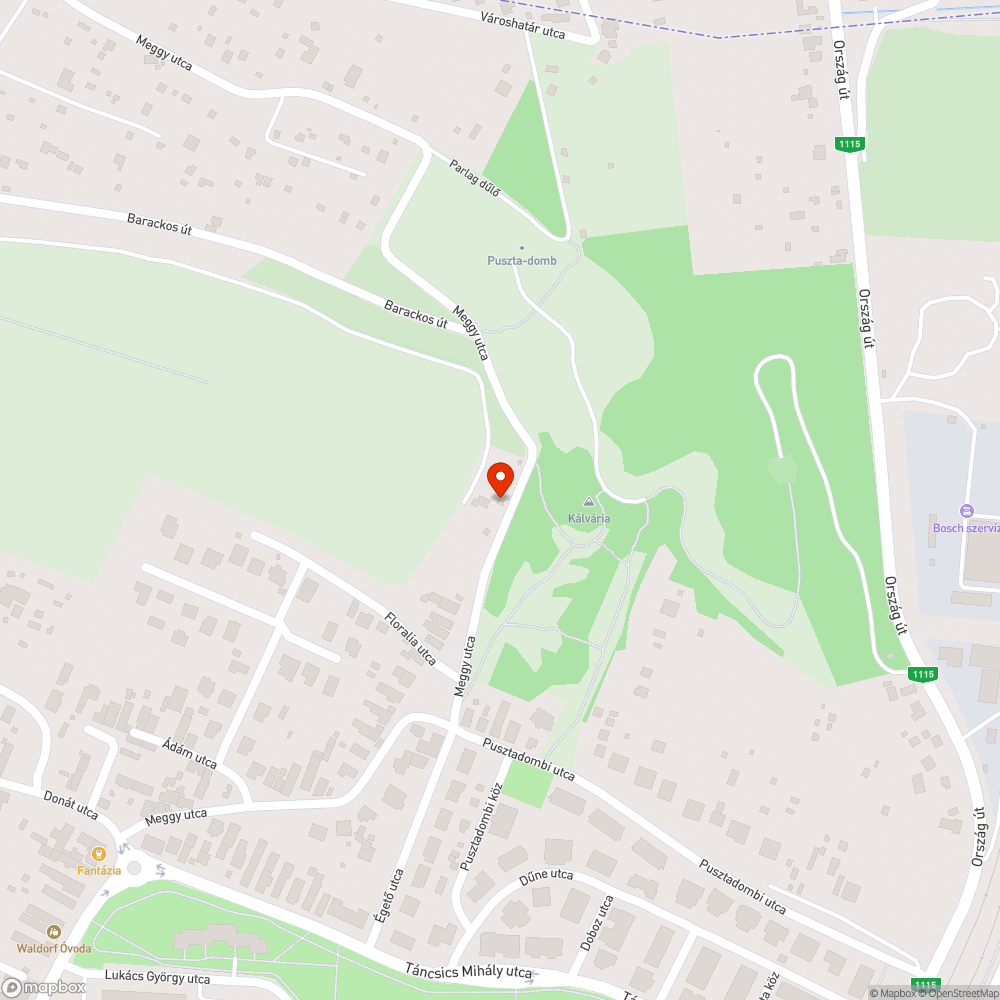 Lomok az utcán bejelentés helye