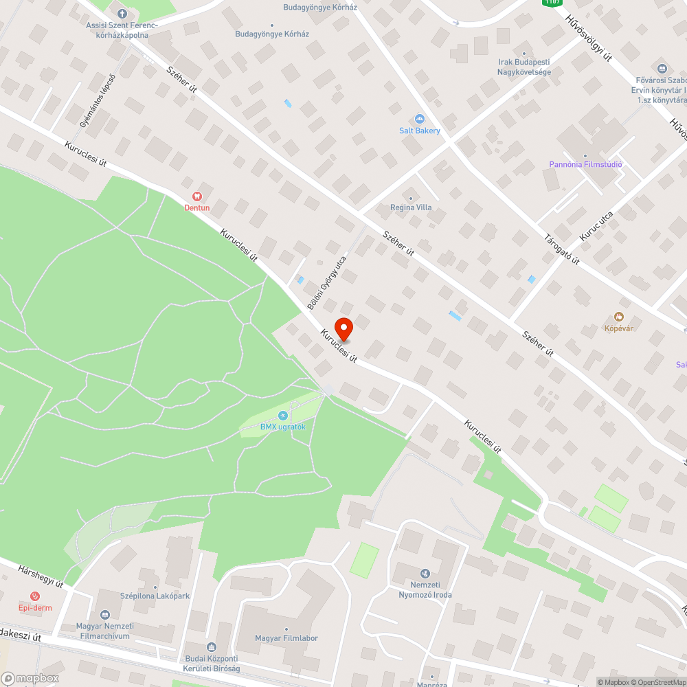 Veszélyes kátyú bejelentés helye