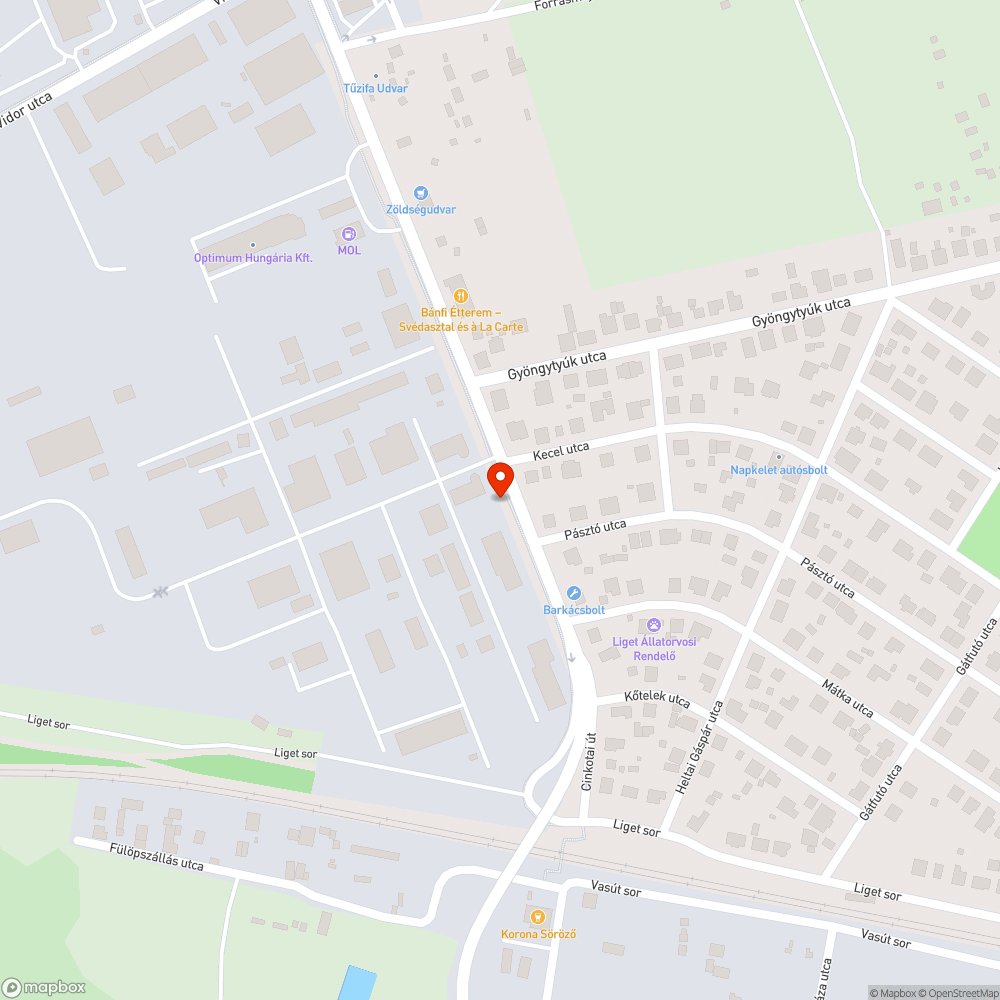 Beszakadt akna, vasrudak bejelentés helye