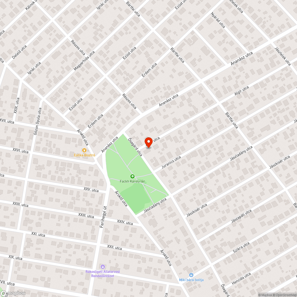 Csatornafedél beszakadása, meg süllyedt aszfalt bejelentés helye