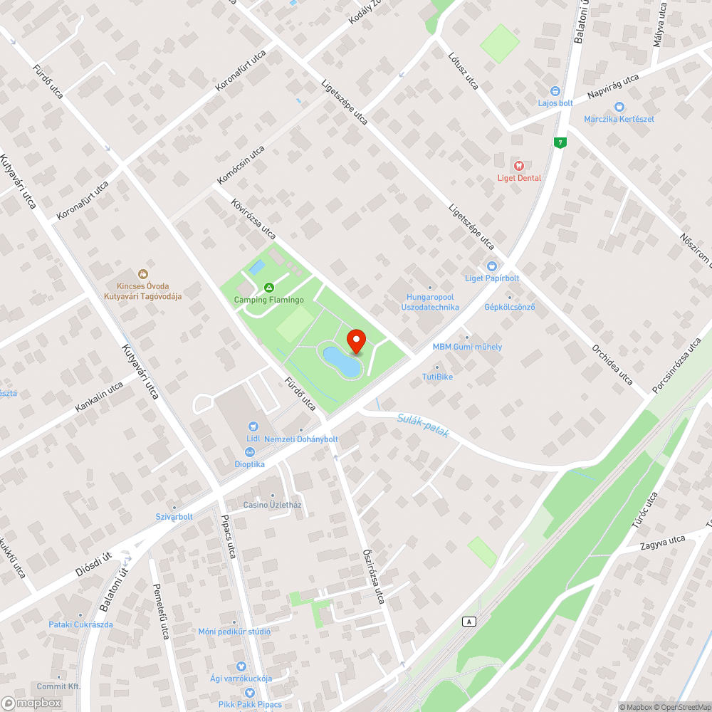 Műanyag zsák a halas tóban bejelentés helye