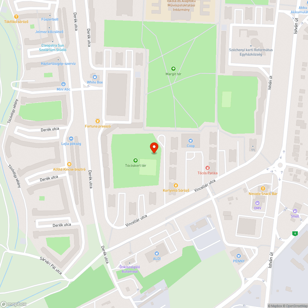 Viharban letört elszáradt faágak a járda felett veszélyes. bejelentés helye