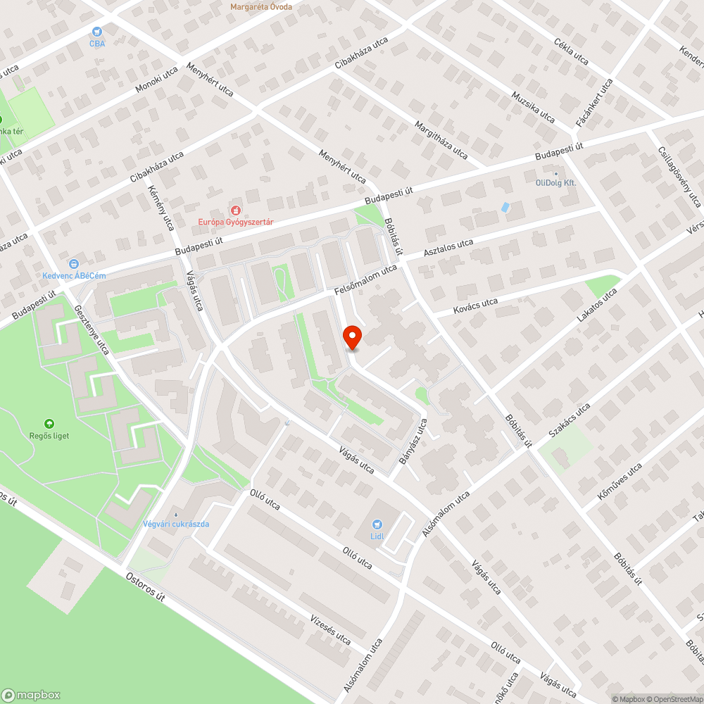 Kifolyt szemétlé bejelentés helye