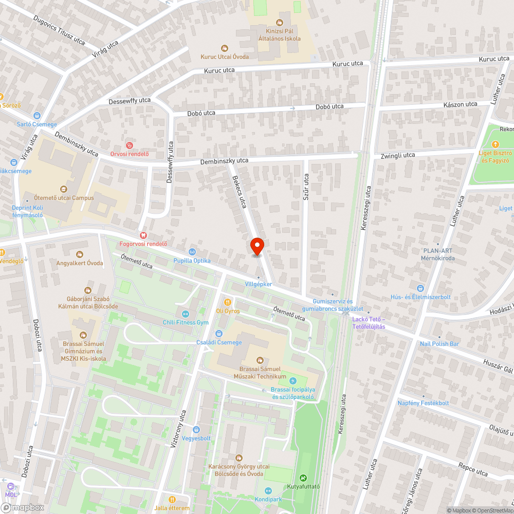 Túlnőtt fa zavarja a közvilágítást bejelentés helye