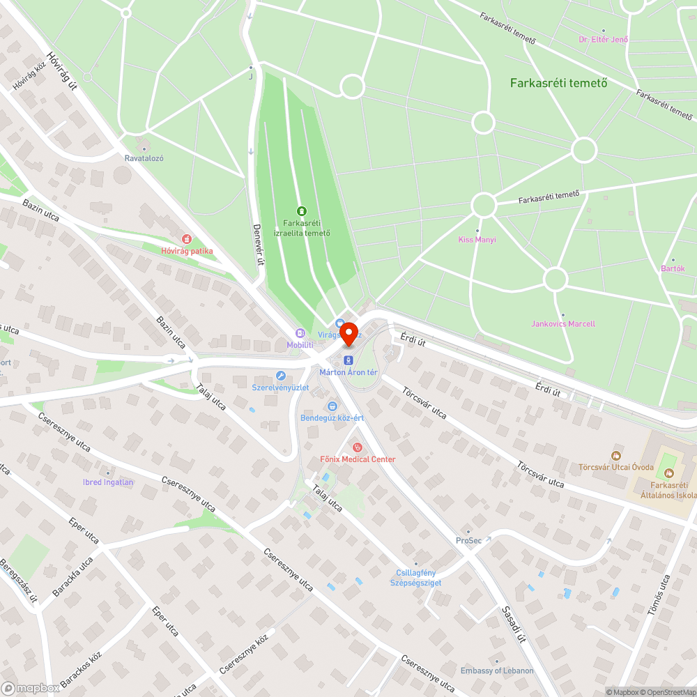 Márton Áron tér kiszáradt növények bejelentés helye