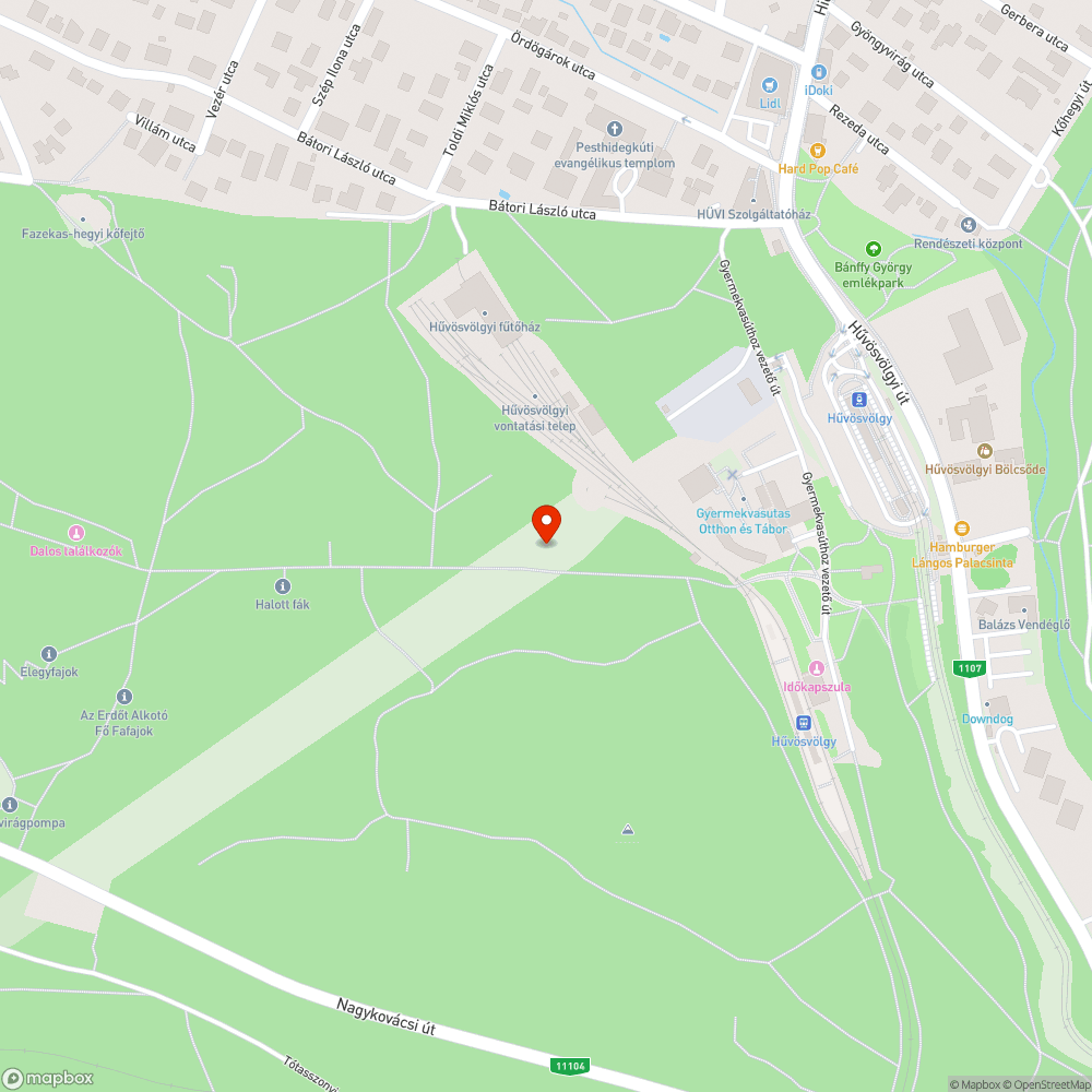 Ocsmány firka a Nagyrétre vezető út melletti fán bejelentés helye