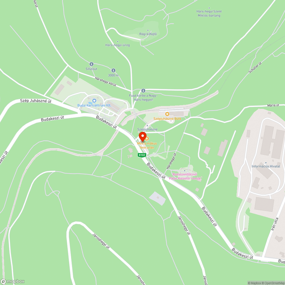 Lekopott zebra felfestés bejelentés helye