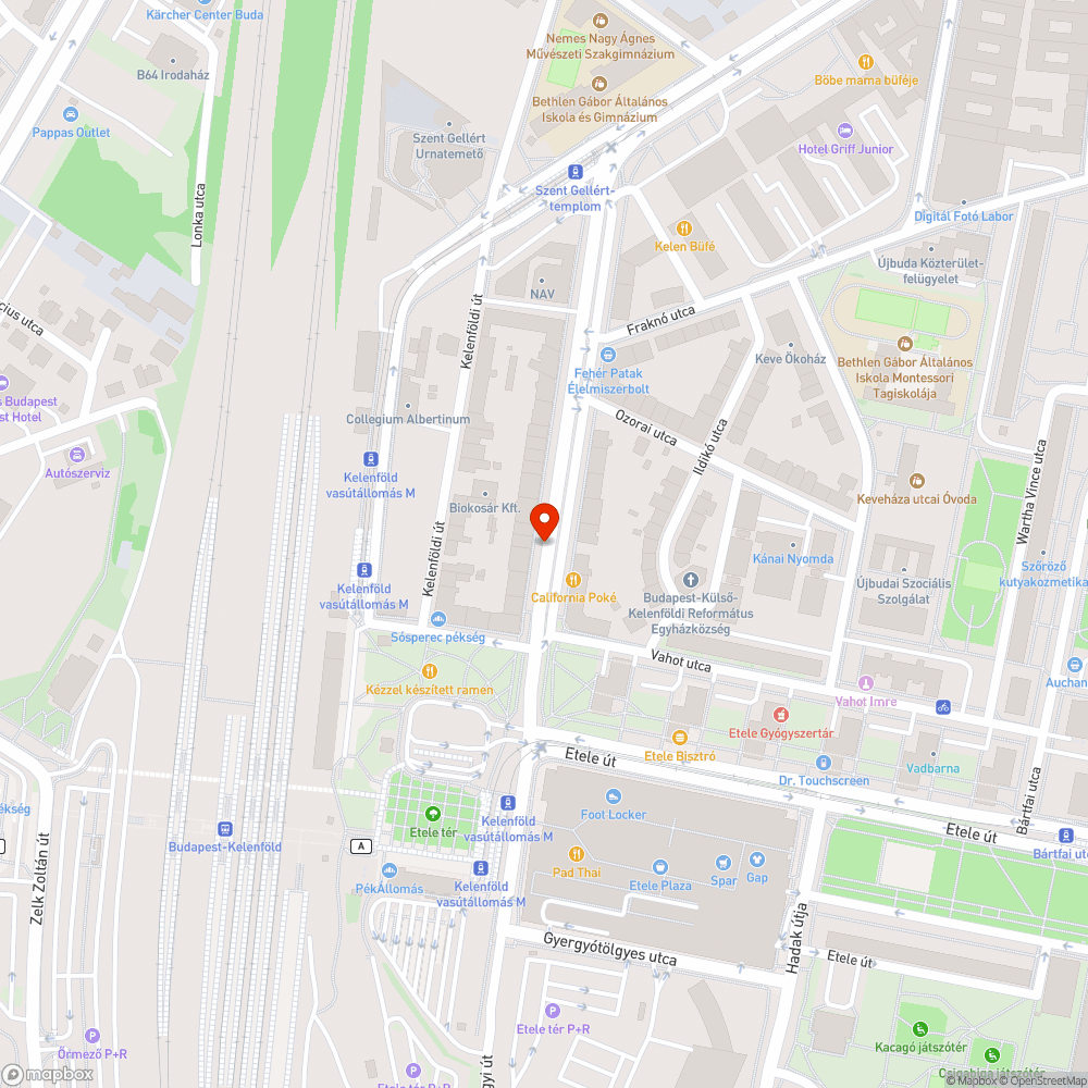 Kidőlt faág az útra bejelentés helye