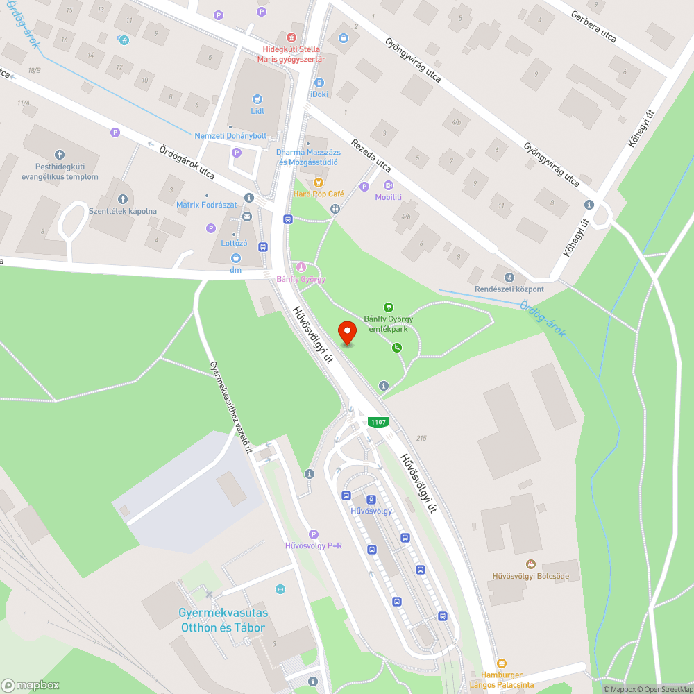 Kiszáradt fa kivágás és pótlás Bánffy György park bejelentés helye