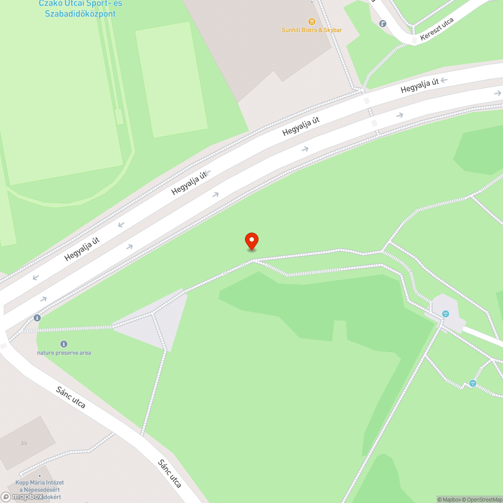 Botlásveszélyes burkolat 2. bejelentés helye