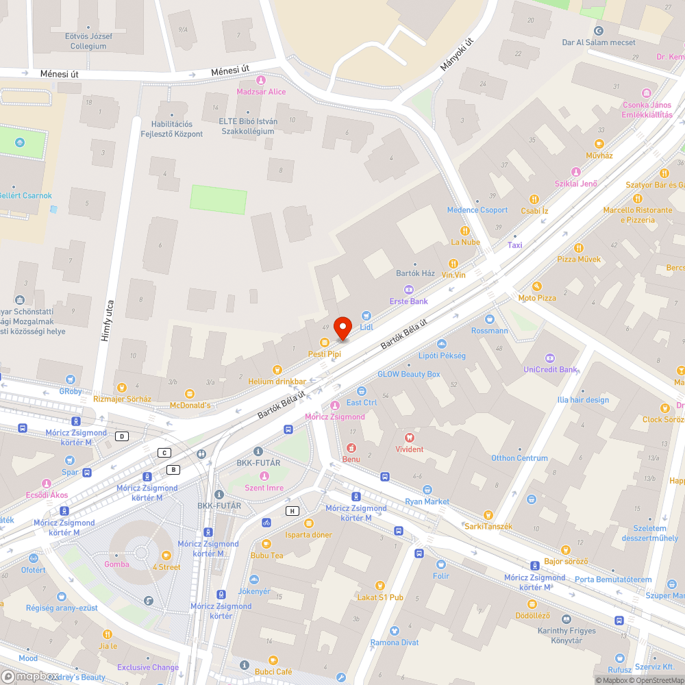 gazdátlan tető nélküli zöld kuka -  Bartók Béla út 49, bejelentés helye