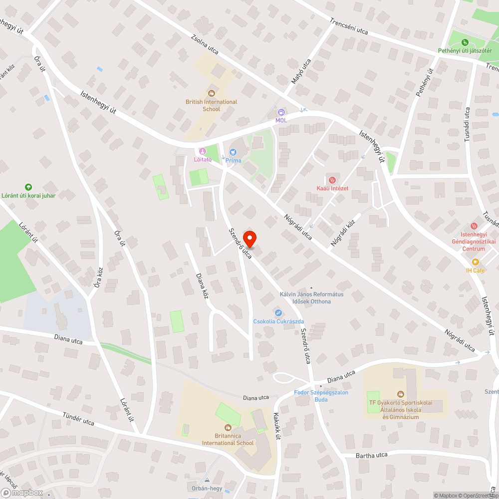 Kutyaszarban úszunk bejelentés helye