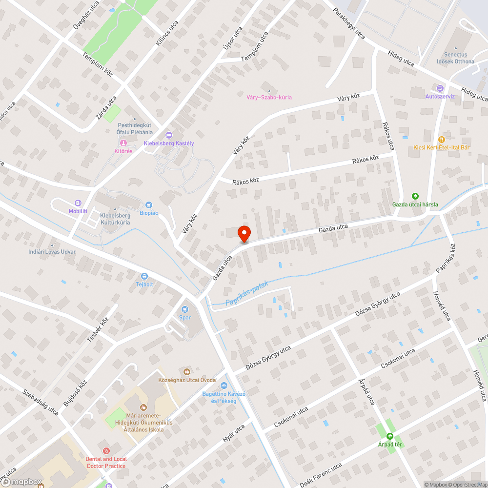 Eltömődött víznyelő rács, mogyoróbokor az úttesten bejelentés helye