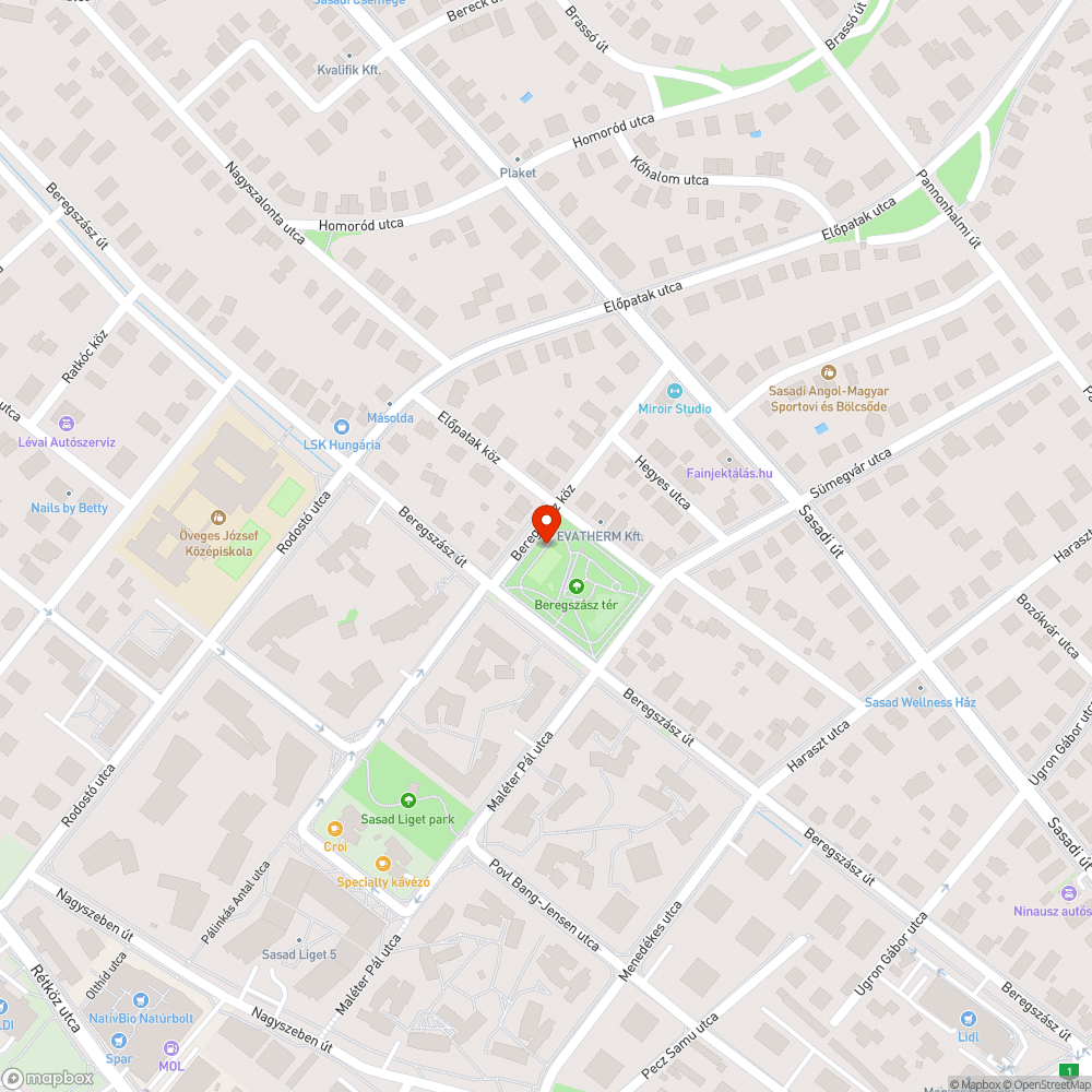 Egy raklapnyi elázott könyv a Beregszász téren bejelentés helye