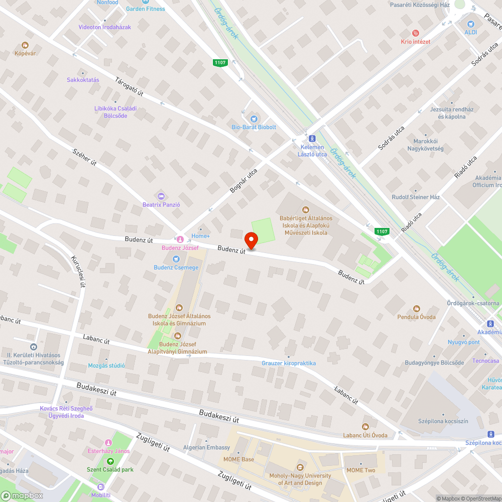 Zöldhulladék a Budenzen a buszmegálló előtt bejelentés helye